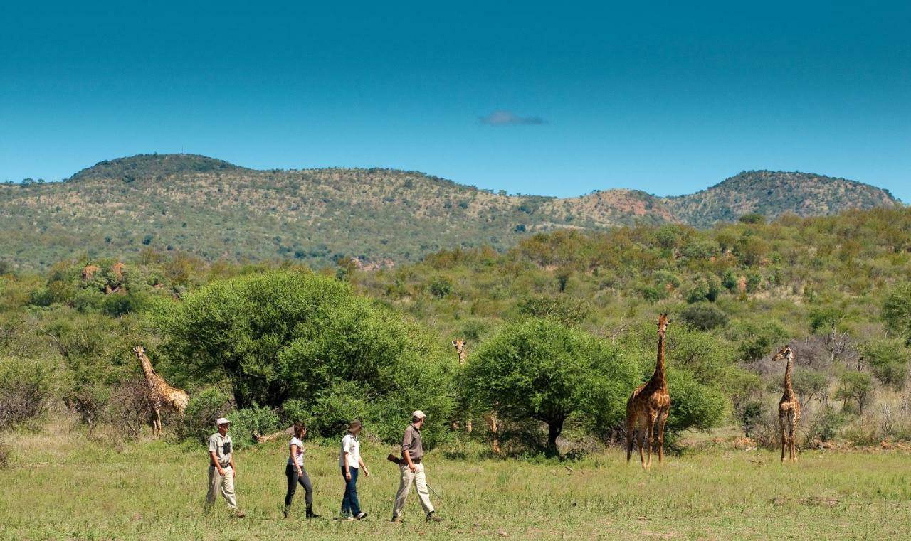 Madikwe Safari Lodge Melorane Exteriér fotografie
