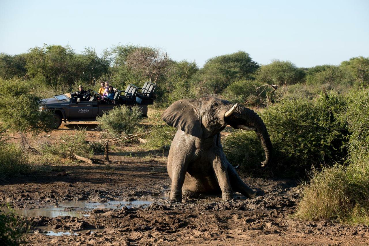 Madikwe Safari Lodge Melorane Exteriér fotografie
